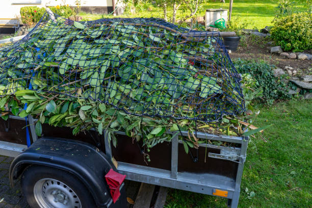 Best Dumpster Rental Services  in Brandon, FL